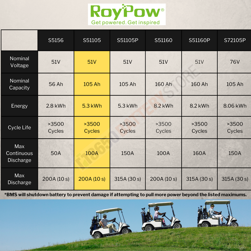 RoyPow 48V 100Ah Lithium Battery (S51105)